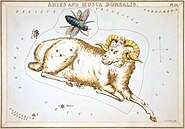 Plate 16: Aries and Musca Borealis