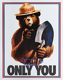 United States 1985 Smokey Bear poster. The "Only You" refers to the character's slogan, "Only You Can Prevent Forest Fires"