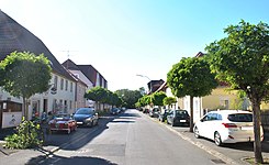Schönbornstraße