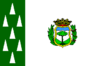 Flag of Cercedilla