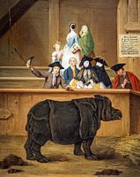 Clara the rhinoceros by Pietro Longhi, 1751