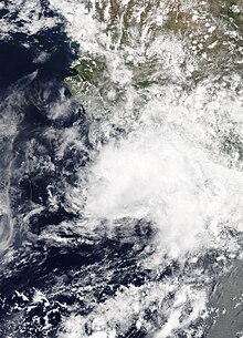 Visible satellite image of Tropical Depression Carlotta weakening off the southern coast of Mexico on June 18.