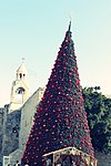Christmas tree in Bethlehem, Palestine, behind it Church of the Nativity.