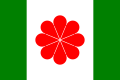 Proposed 1996 Liu flag of Taiwan