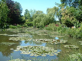 Water lilies in Claude Monet's garden in Giverny, from which he created his Water Lilies series. (2005)