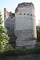 Remains of the Tower of Vesunna