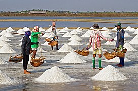 Salt Farmers - Pak Thale-edit1