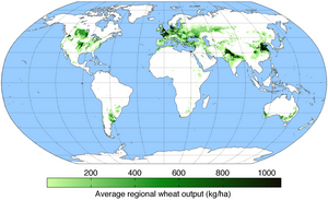 Wheat-growing areas of the world