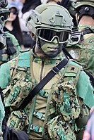Bruneian soldier in combat dress