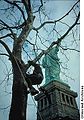 An arborist pruning a tree near the Statue of Liberty