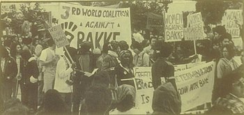a monochrome photo of a protest rally. Many of the protesters are minorities and have Afro hairstyles. "WOMEN AGAINST BAKKE" is a typical sign being held.