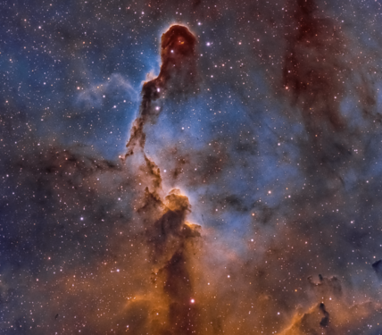Elephant's Trunk in classic Hubble Palette (Ha/OIII/SII) by amateur astronomer Chuck Ayoub. (created by Cpayoub; nominated by MER-C)