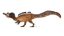 Reconstruction of the spinosaurid genus Ichthyovenator in a left-facing walking pose
