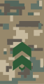 Field uniform shoulder board (Sergeant)