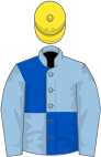 Light blue and royal blue (quartered), light blue sleeves, yellow cap