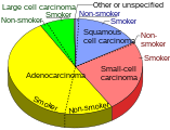 Lung cancer types