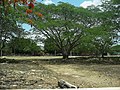 View of the Hacienda San Pedro Chimay