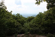 View from Springer Mountain in May