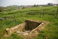 St Rumbold's Well in Buckingham