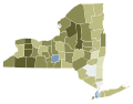 New York 2021 Proposal 3 results by county