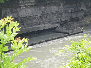This plant is made visible because of a drop in the Rhone. It is normally 15 metres (49 ft) below the level of the river.