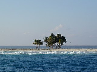 Palmen auf der Clipperton-Insel