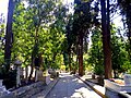 Shady cobblestone cemetery pathway, Karacaahmet cemetery, Istanbul, 2010s