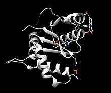 HIV catalytic core domain