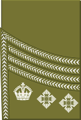 World War I colonel's rank insignia (Scottish pattern)