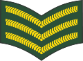 Sergeant (Barbados Regiment)[29]