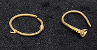 Bronze Age gold earrings, Burgastain gol, Uvs Province, Mongolia. National Museum of Mongolia