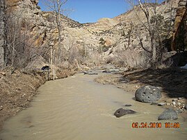The Escalante River near Escalante, Utah