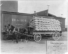 Load of wheat, USA 1910
