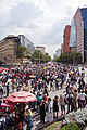 Anti-Imposition Protest in Mexico City.