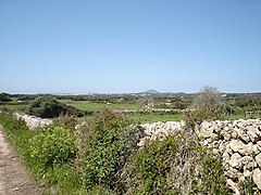 Menorcan countryside