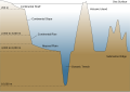 Image 6Cross-section of an ocean basin. Note significant vertical exaggeration. (from Demersal fish)