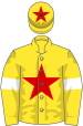 Yellow, red star, yellow sleeves, white armlets, yellow cap, red star