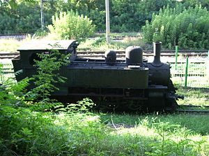 Eine Lok dieser Baureihe beim Museum Ruse