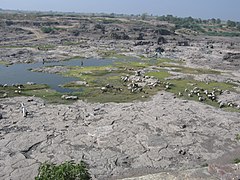 Godavari im Januar bei Puntamba, Maharashtra