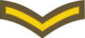 Lance corporal (Tongan Land Component)[42]