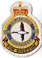 408 Tactical Helicopter Squadron official badge c. 1985