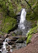 Basin Falls is around 20 feet tall, and is at an elevation of about 1100 ft.