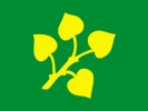 Flag of Stryn