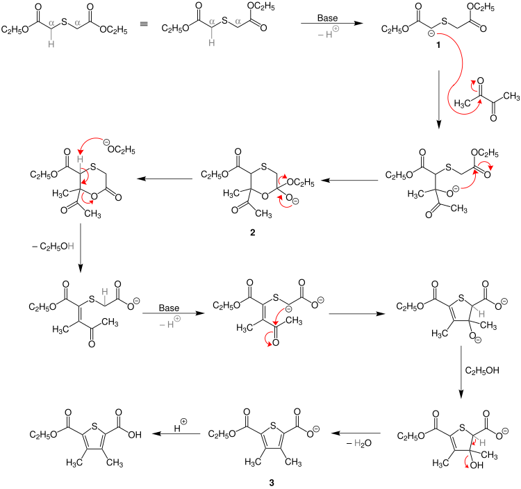 Hinsberg-Thiophensynthese-Mechanismus
