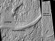 Aeolis Mensae Yardangs, as seen by HiRISE. Scale bar is 500 meters long. Click on image for better view of yardangs.
