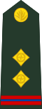OR-8 insignia