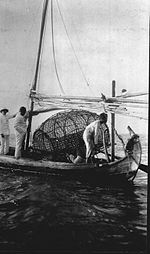 Mayang with a large fishing trap in the Thousand islands, bay of Batavia.