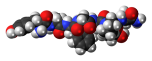 Space-filling model of the dermorphin molecule