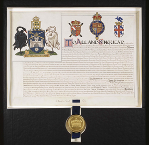 Exemplification of the grant of supporters for the arms