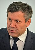 Janusz Piechociński Sejm 2014.JPG